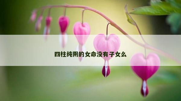 四柱純陰的女命沒有子女么