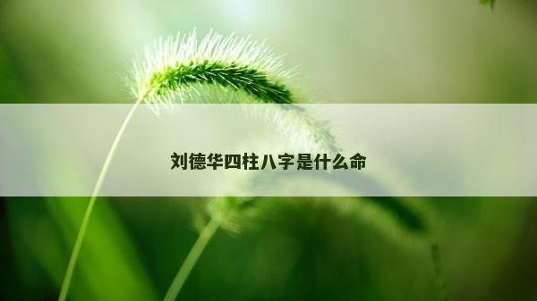 劉德華四柱八字是什么命