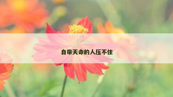 自帶天命的人壓不住