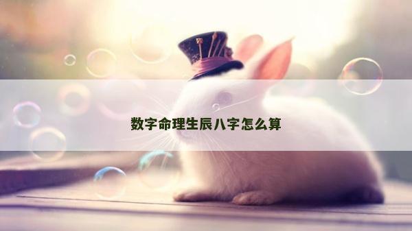 數(shù)字命理生辰八字怎么算