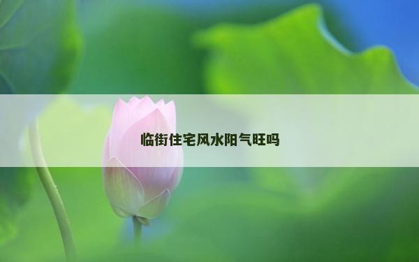 臨街住宅風(fēng)水陽(yáng)氣旺嗎