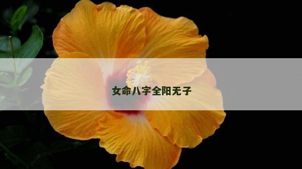 女命八字全陽無子