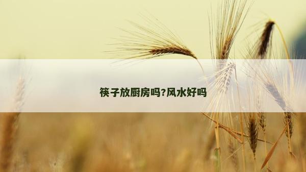 筷子放廚房嗎?風水好嗎 筷子放廚房嗎?風水好嗎