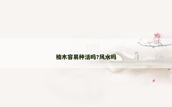 楠木容易種活嗎?風水嗎
