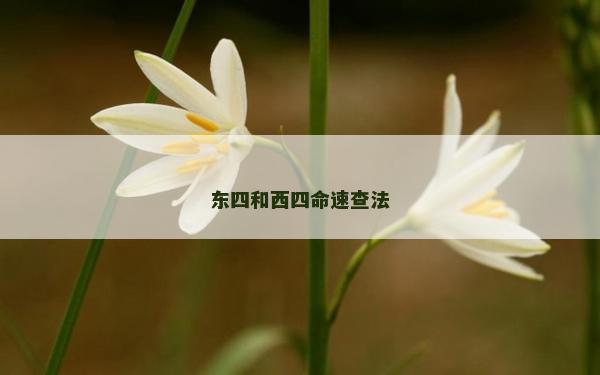 東四和西四命速查法