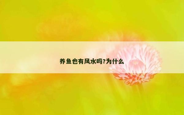 養魚也有風水嗎?為什么
