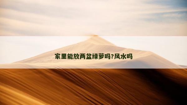 家里能放兩盆綠蘿嗎?風(fēng)水嗎