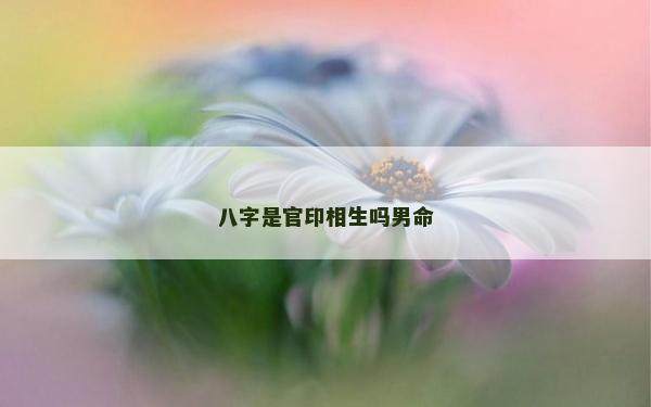 八字是官印相生嗎男命