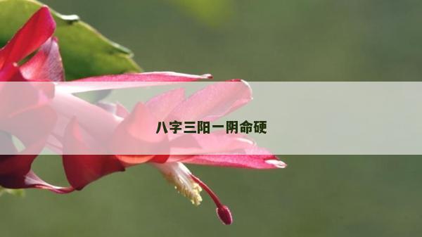 八字三陽一陰命硬