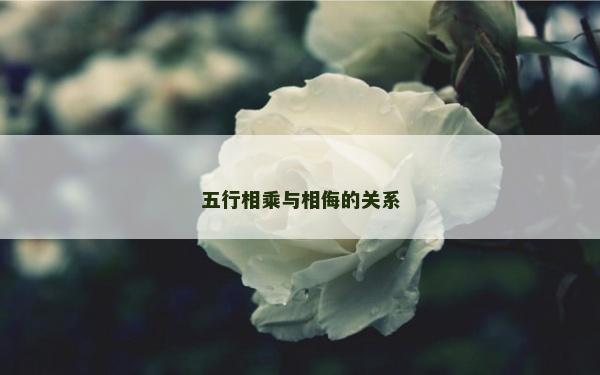 五行相乘與相侮的關系
