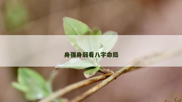 身強身弱看八字命局