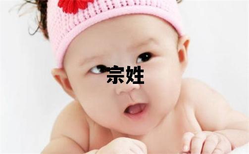 宗姓洋氣的女孩名字