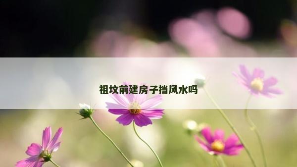 祖墳前建房子擋風水嗎