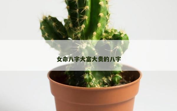 女命八字大富大貴的八字