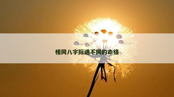 相同八字際遇不同的命格