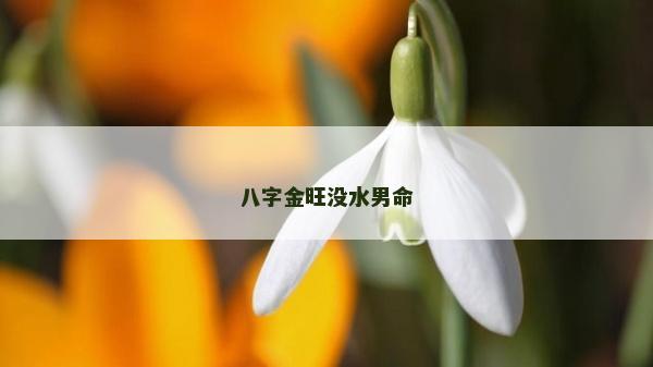 八字金旺沒水男命 八字金旺沒水男命