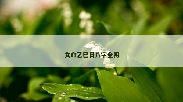 女命乙巳日八字全陰