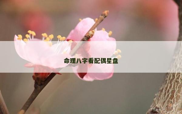 命理八字看配偶星盤