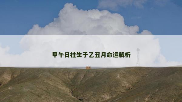 甲午日柱生于乙丑月命運解析