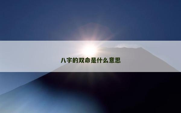 八字的雙命是什么意思