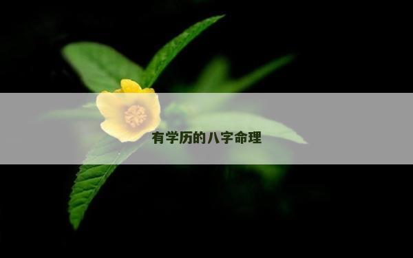 有學(xué)歷的八字命理