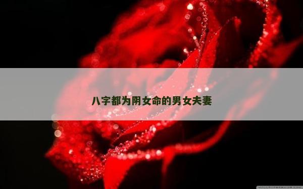 八字都為陰女命的男女夫妻