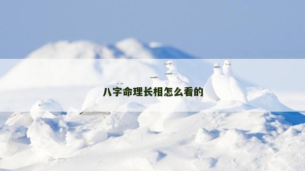 八字命理長相怎么看的