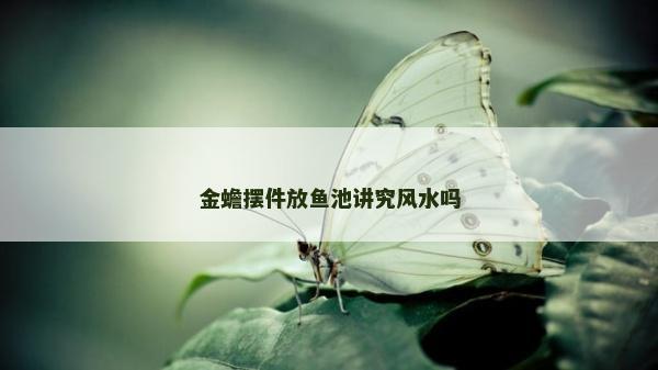 金蟾擺件放魚池講究風水嗎