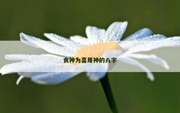 食神為喜用神的八字 食神為喜用神的八字