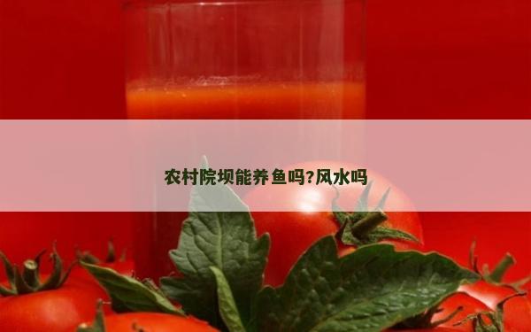農村院壩能養魚嗎?風水嗎