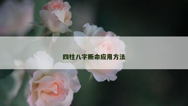 四柱八字斷命應用方法