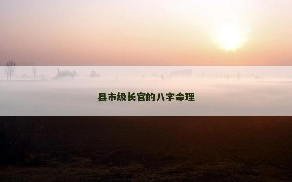 縣市級長官的八字命理