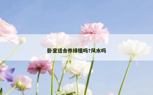 臥室適合養綠植嗎?風水嗎