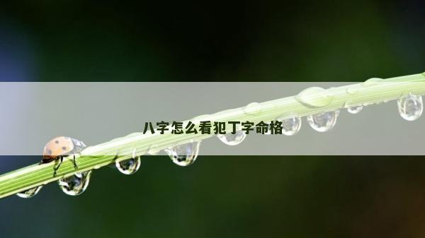 八字怎么看犯丁字命格 八字怎么看犯丁字命格