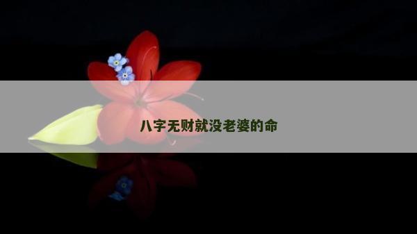 八字無財就沒老婆的命