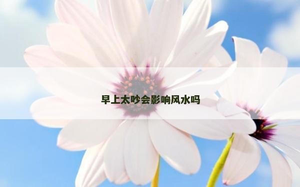 早上太吵會(huì)影響風(fēng)水嗎