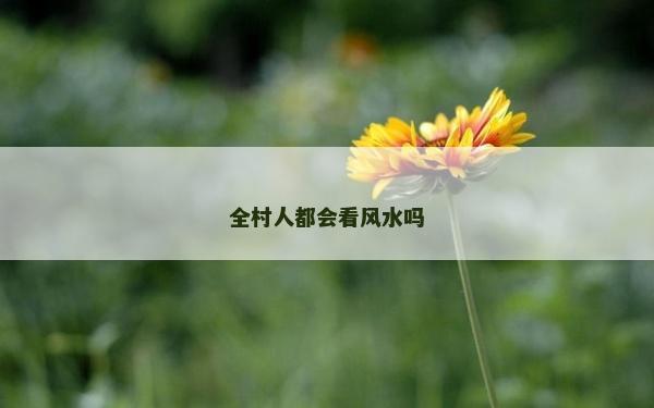 全村人都會看風水嗎 全村人都會看風水嗎