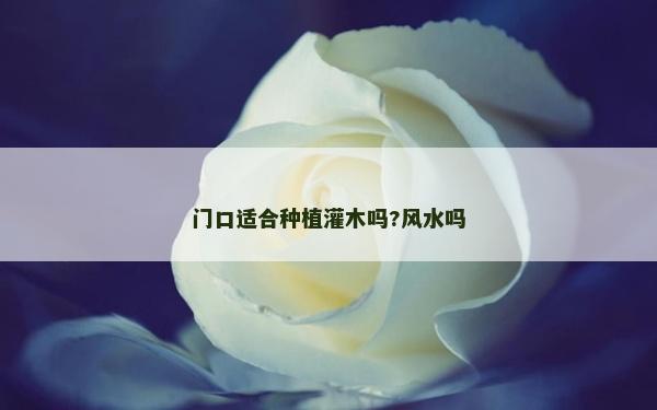 門口適合種植灌木嗎?風水嗎 門口適合種植灌木嗎?風水嗎