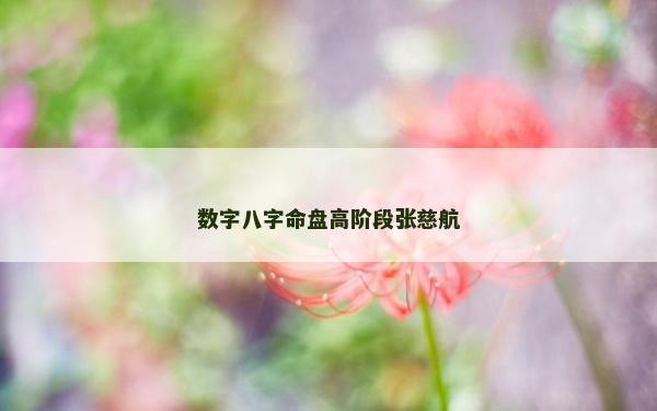 數(shù)字八字命盤高階段張慈航