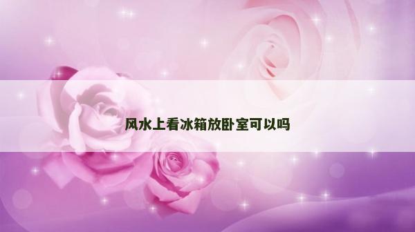 風(fēng)水上看冰箱放臥室可以嗎