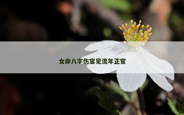 女命八字傷官見流年正官