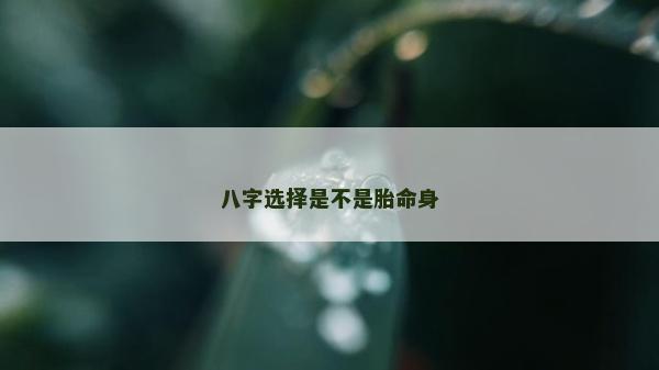 八字選擇是不是胎命身