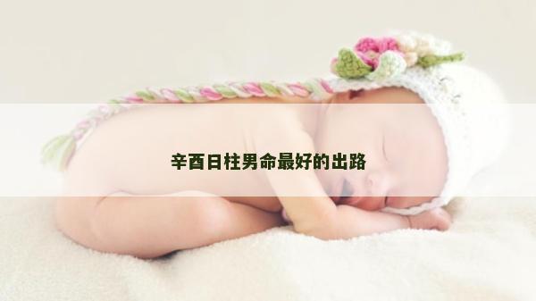 辛酉日柱男命最好的出路