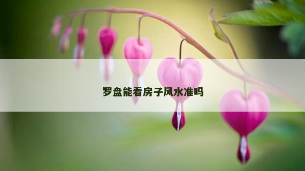 羅盤能看房子風(fēng)水準(zhǔn)嗎