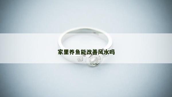 家里養(yǎng)魚能改善風(fēng)水嗎