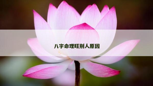 八字命理旺別人原因