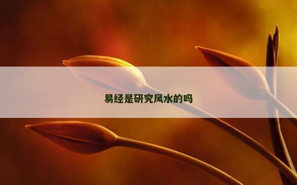 易經是研究風水的嗎