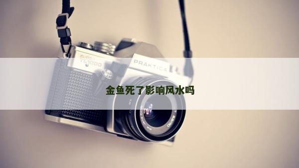 金魚死了影響風水嗎