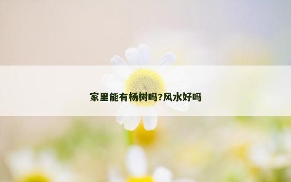 家里能有楊樹嗎?風水好嗎