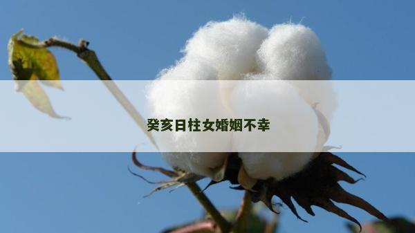 癸亥日柱女婚姻不幸 癸亥日柱女婚姻不幸